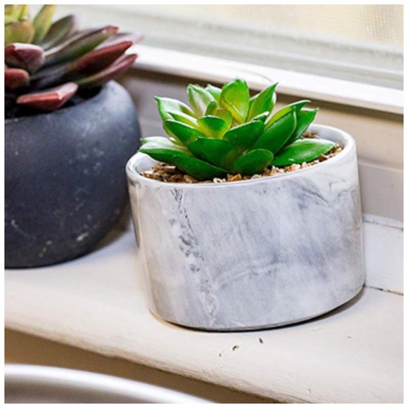 Faux Succulent Plant Marble Design Pot - Picture 2 of 3